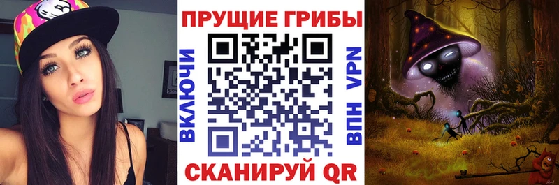 Галлюциногенные грибы Psilocybine cubensis Пушкино