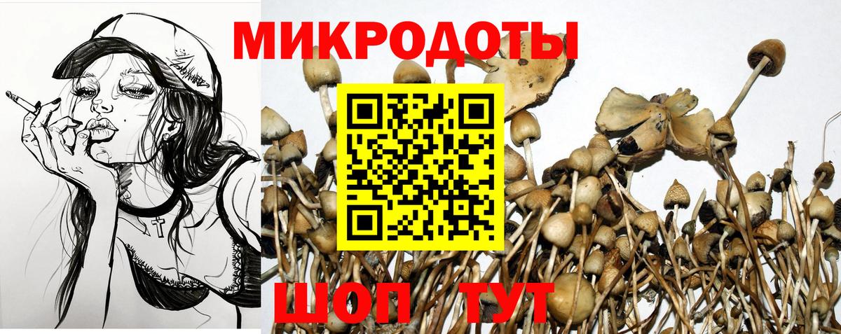 Пушкино  Псилоцибиновые грибы мицелий  закладка  Вход с VPN 
